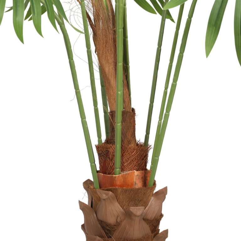 Showstopping Fan Palm Tree