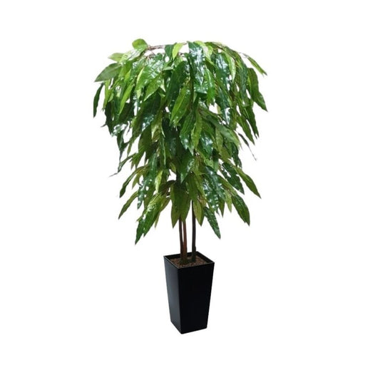 Hand Crafted Mango Tree