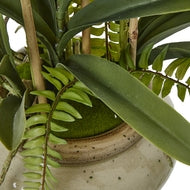 Exquisite White Orchid in neutral pot