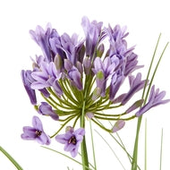90cm Tall Elegant Purple Faux Agapanthus
