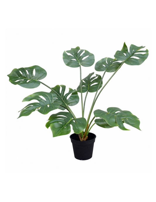 Faux Philodendron Plant (Heart Shaped Leaves)