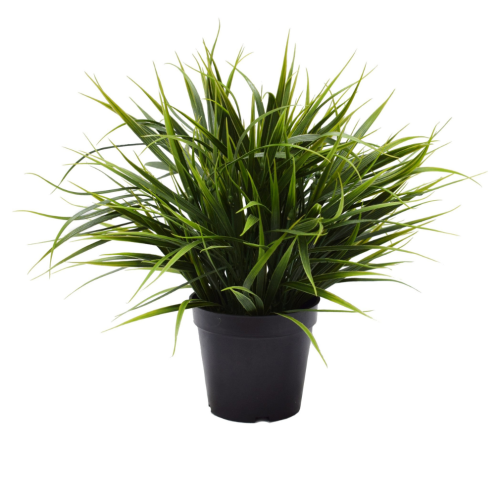 Faux Spider Plant