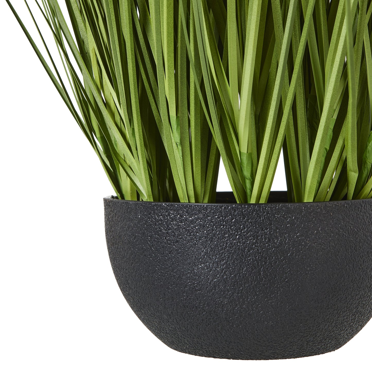White Allium in contemporary black Pot