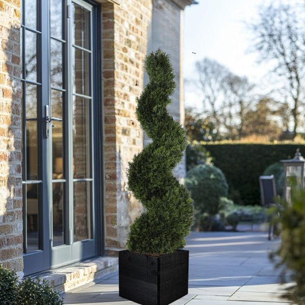 Sophisticated Cypress Spiral Topiary