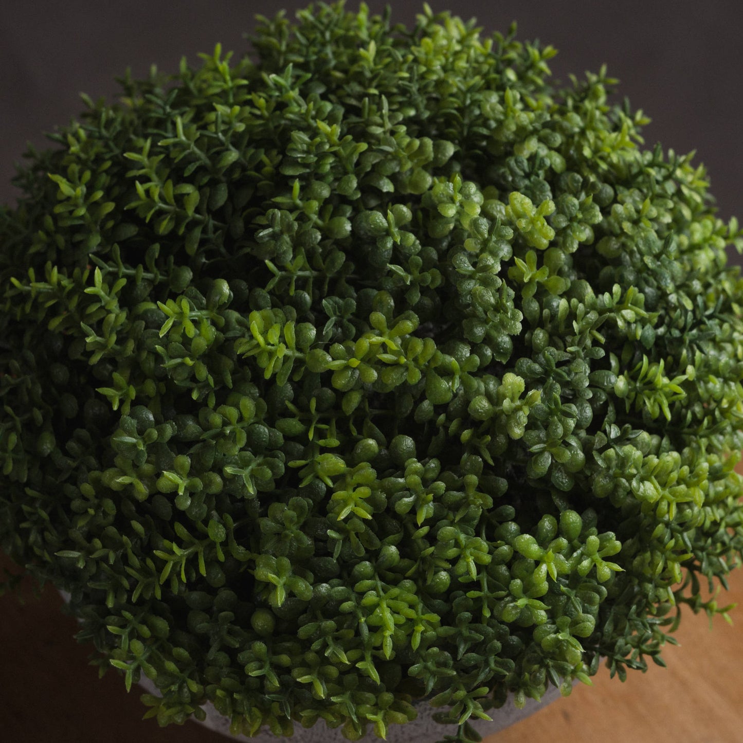 Artificial Hebe Globe with Grey Pot