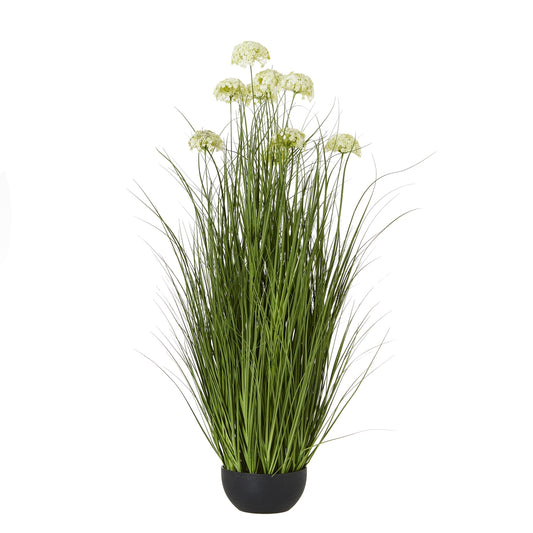 White Allium in contemporary black Pot